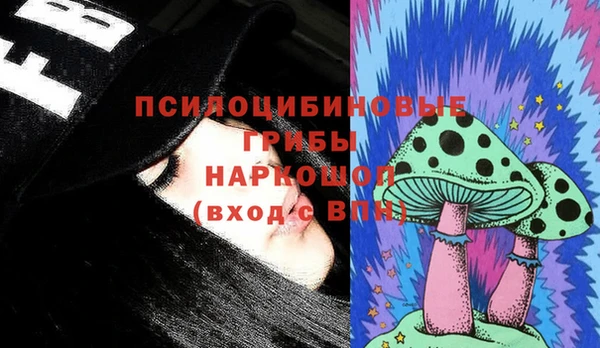 ешки Бронницы