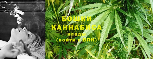 гидра Бугульма