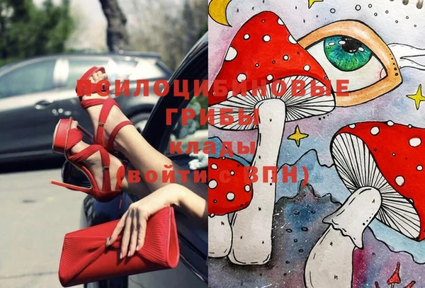 ешки Бронницы