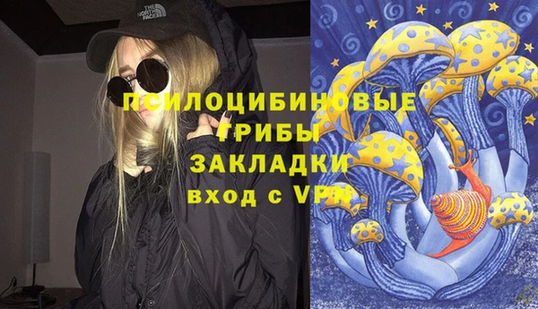 гидра Бугульма