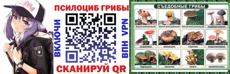 гидра   закладка  Краснодар  Псилоцибиновые грибы Psilocybe 