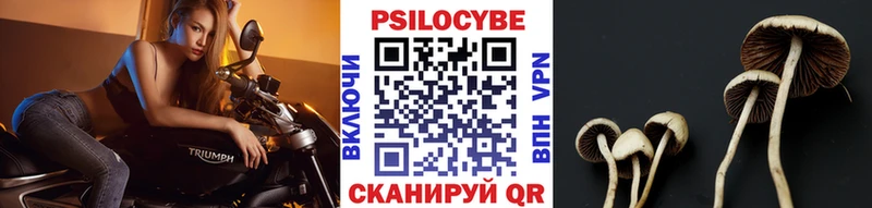 Псилоцибиновые грибы ЛСД Краснодар