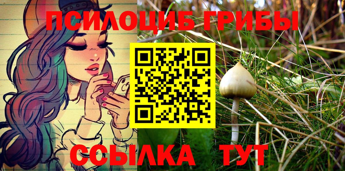 Галлюциногенные грибы ЛСД  Галлюциногенные грибы мухоморы  Краснодар  Вход с VPN 