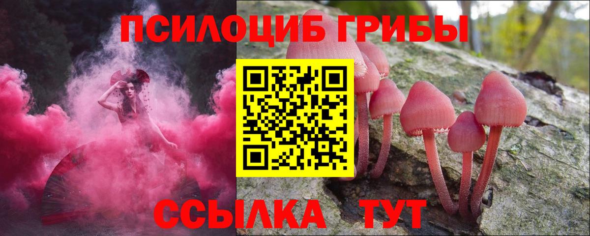 Галлюциногенные грибы GOLDEN TEACHER  Краснодар 